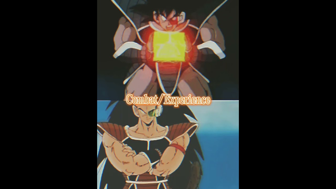 Turles Vs Raditz