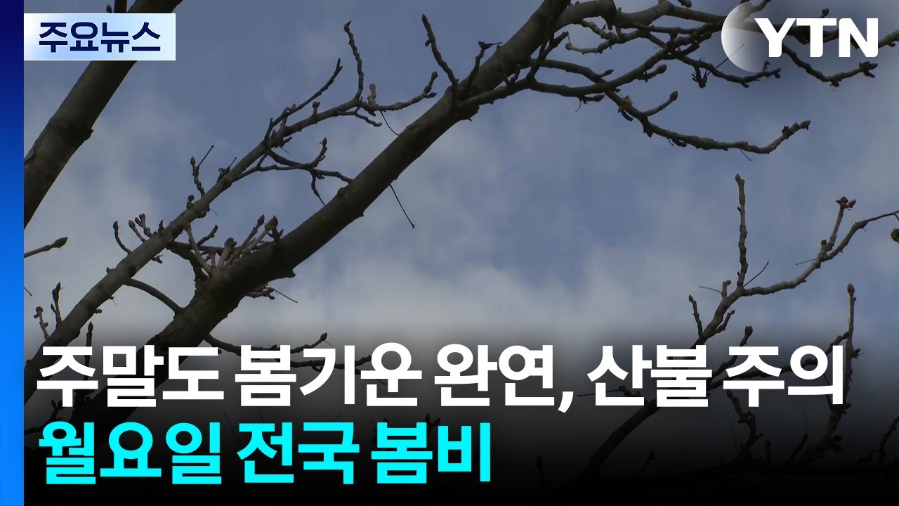 주말도 봄기운 완연, 중부 산불 주의...월요일 전국 봄비 / YTN