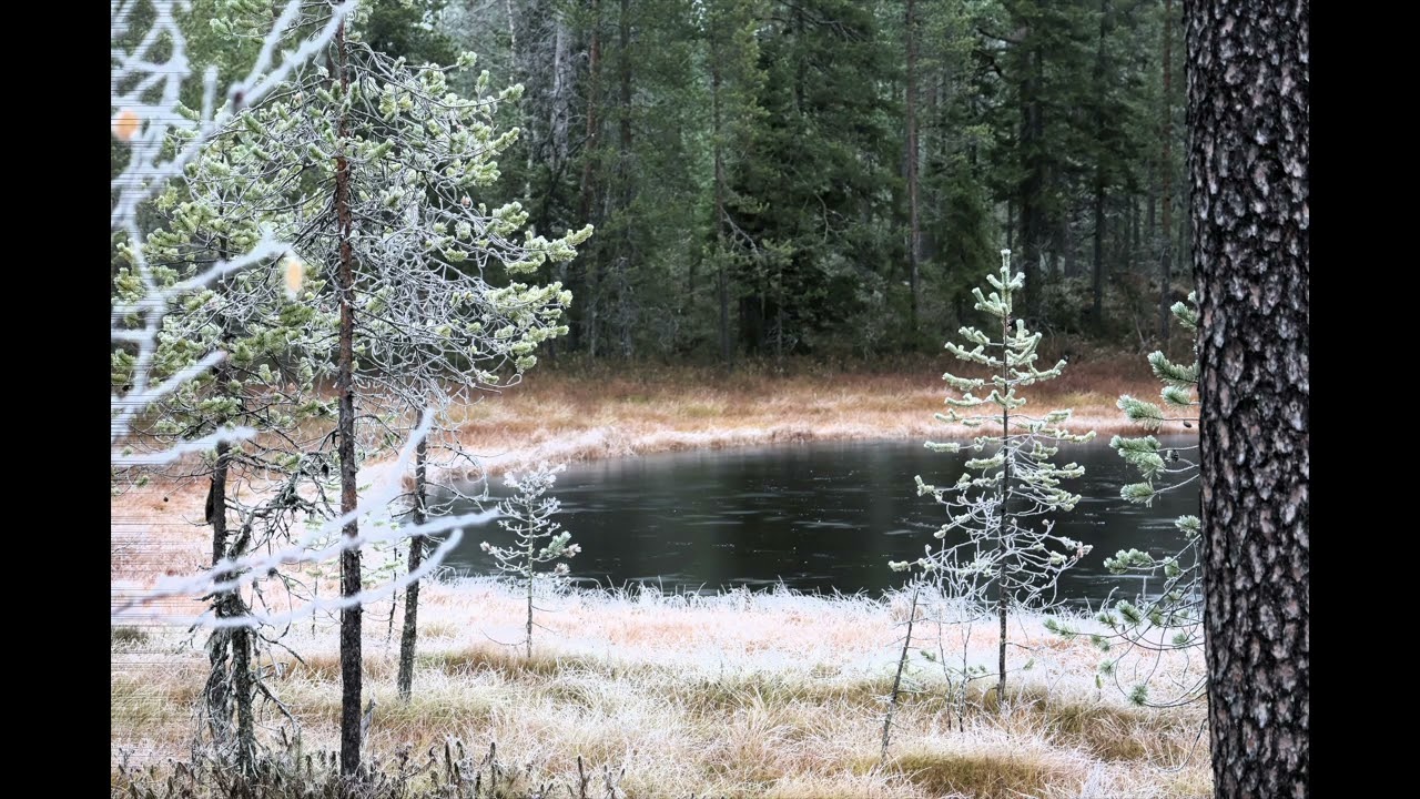 Maan korvessa kulkevi lapsosen tie Sakari Kuosmanen & Tapio Sarpola