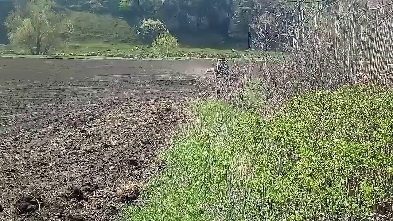 Три дружніх брата 
