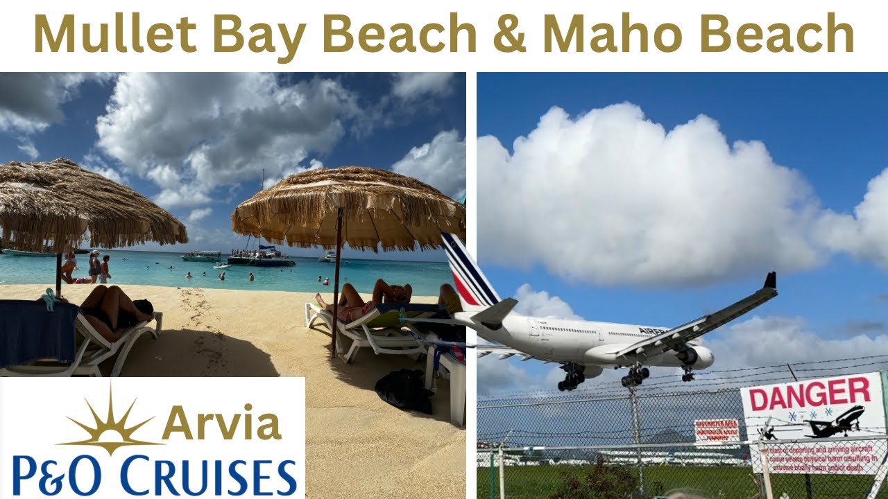 P&O Arvia | St Maarten | The Olive Grove | Part 6