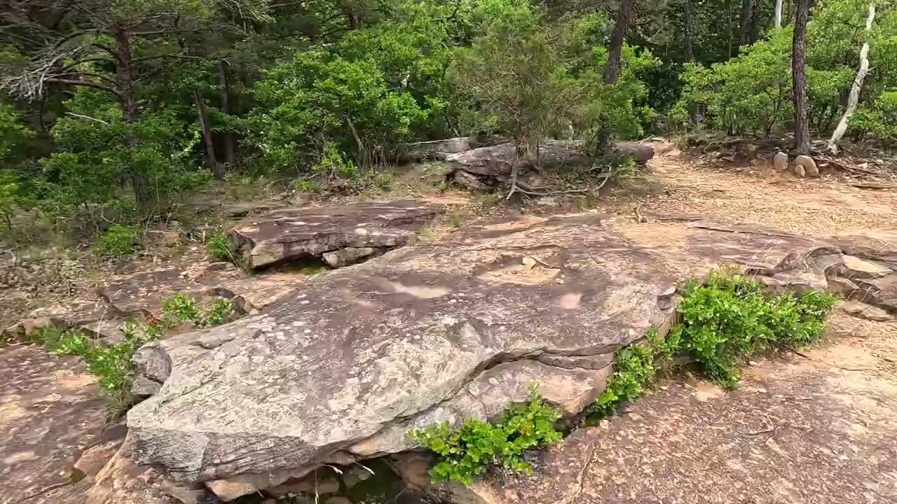 Savage Gulf Alum Gap Camp May '25