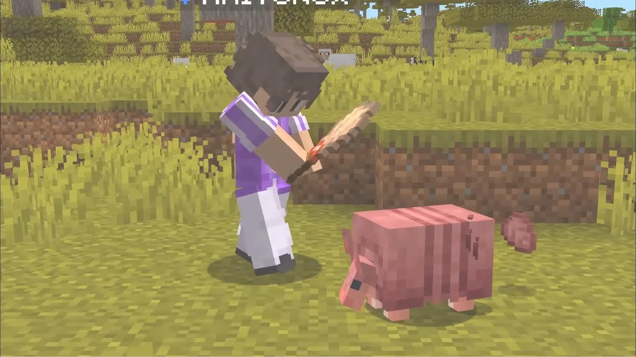 je joux a mincraft