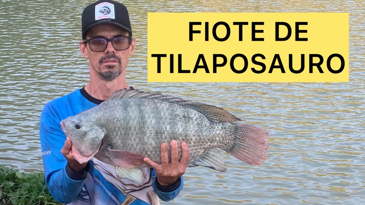 PESCARIA TILÁPIA NA BATIDA REPRESA PARAIBUNA #tilapia #pescaria #pescanabatida #peixe