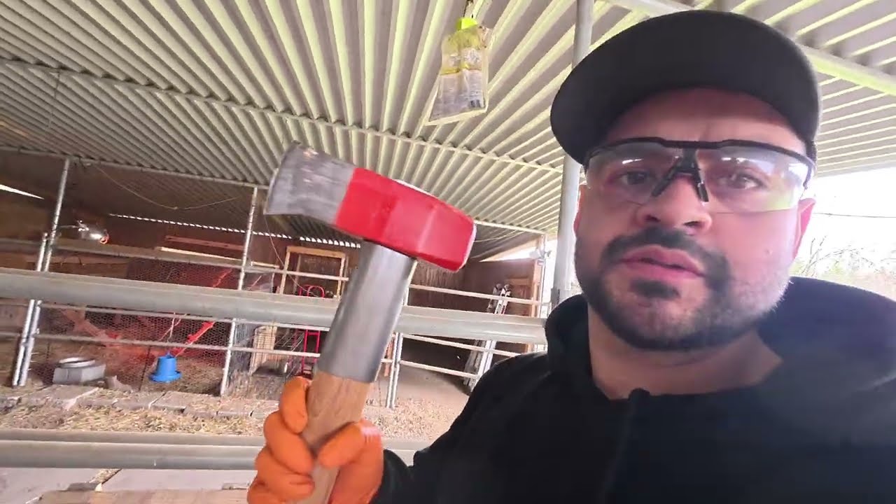 A Real Saturday on the Property: Cleanup, Maintenance & Home Tasks
