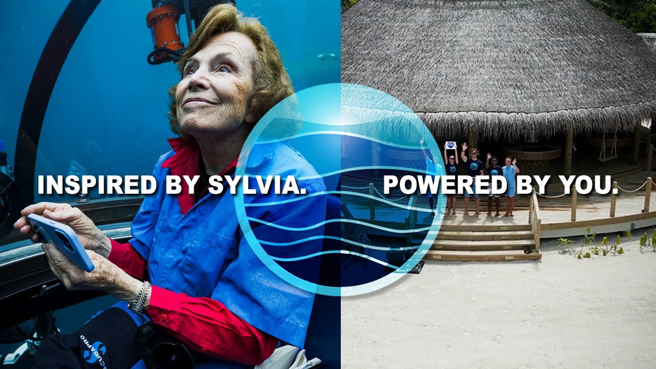 Celebrating 15 Years of Mission Blue