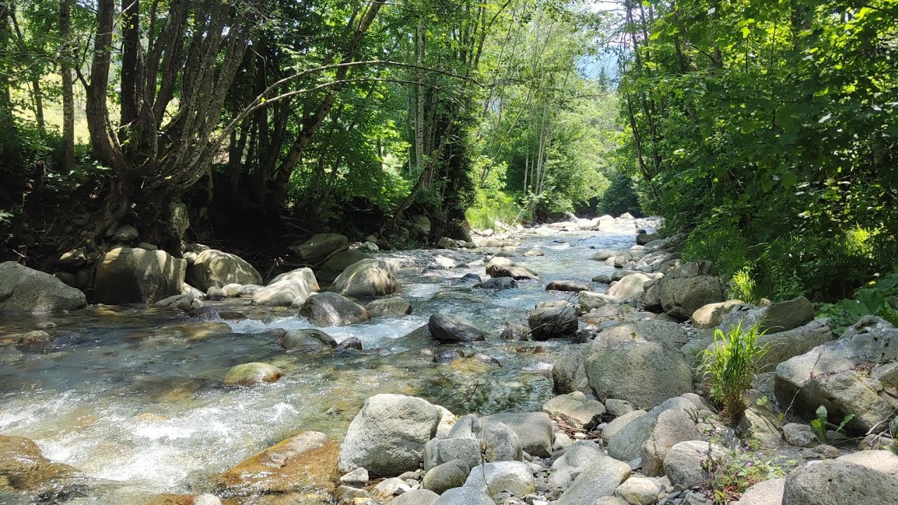 PESCA A MOSCA: Le piccole Trote del torrente Arnò