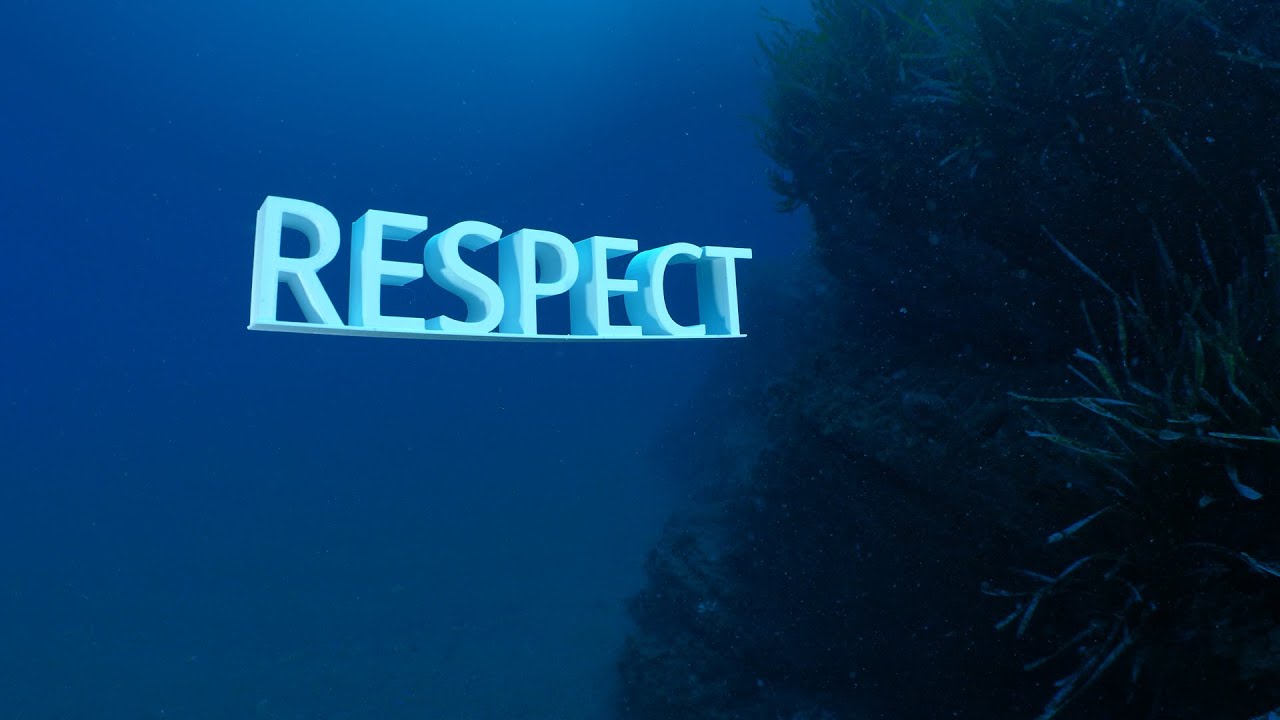 RESPECT