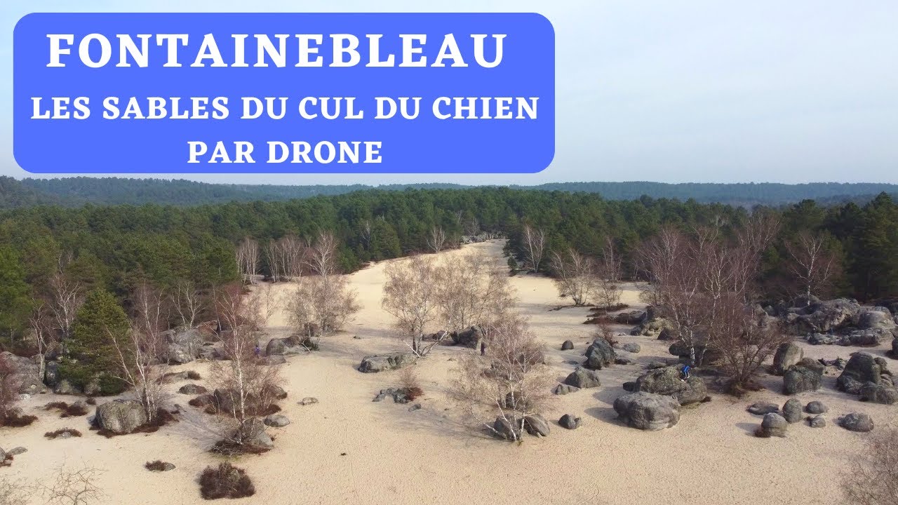 FONTAINEBLEAU PAR DRONE , Les sables du cul du chien (desolé c'est le vrai nom 😁 )