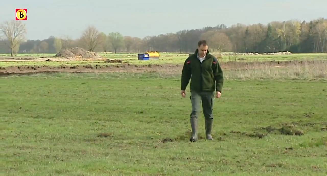 Staatsbosbeheer: broedgebied kapot door aannemers