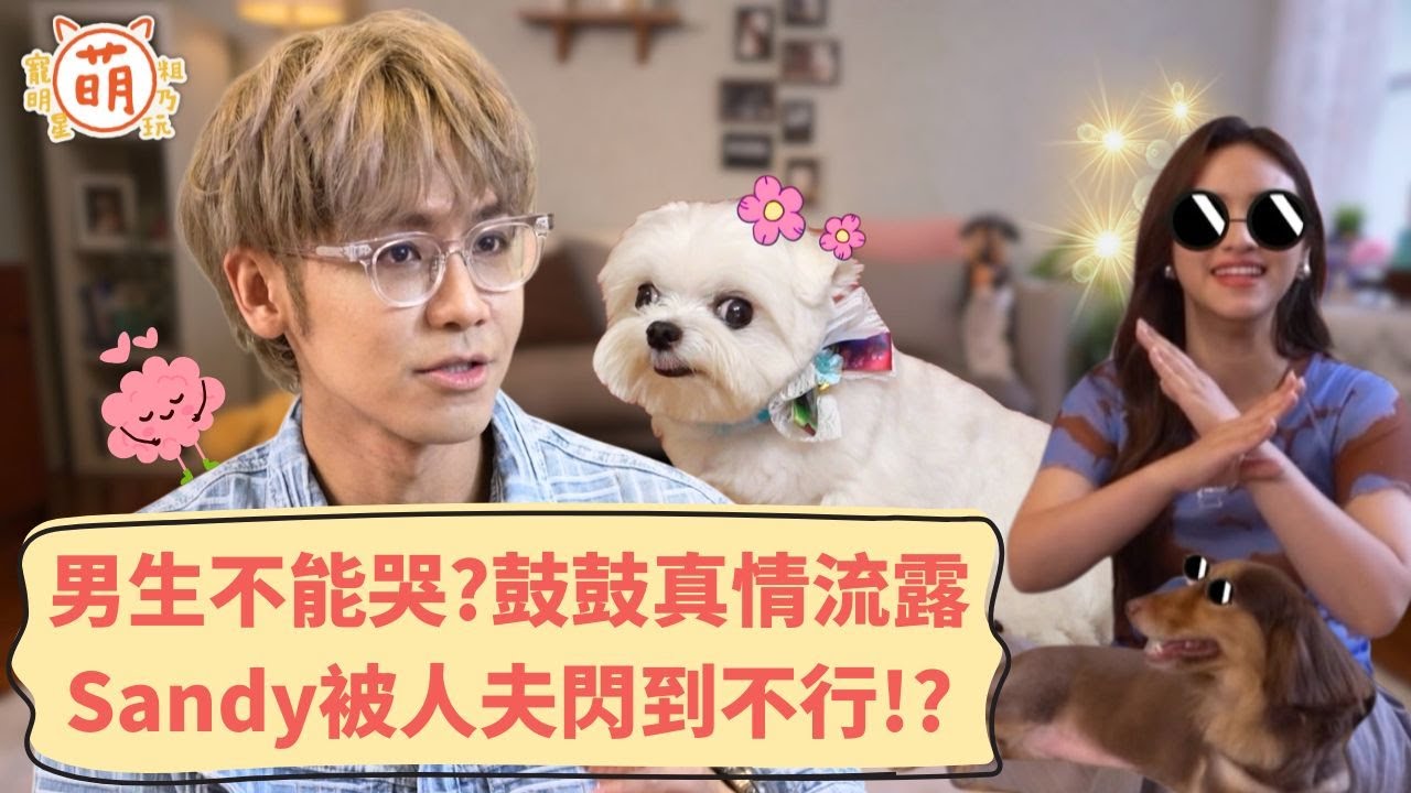 男生不能哭？鼓鼓 呂思緯 的真情流露！Sandy 被人夫閃到不行！？【 萌寵明星粗乃玩 X 精彩replay 】Sandy 鼓鼓 呂思緯 @haveapetday​