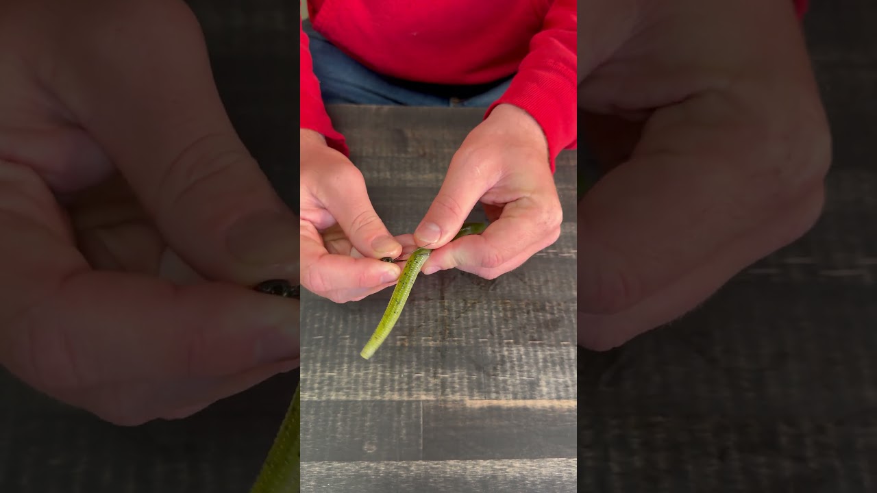 Deadly Wacky Rig Trick for Smallmouth Bass! (So Easy It Feels Like Cheating)