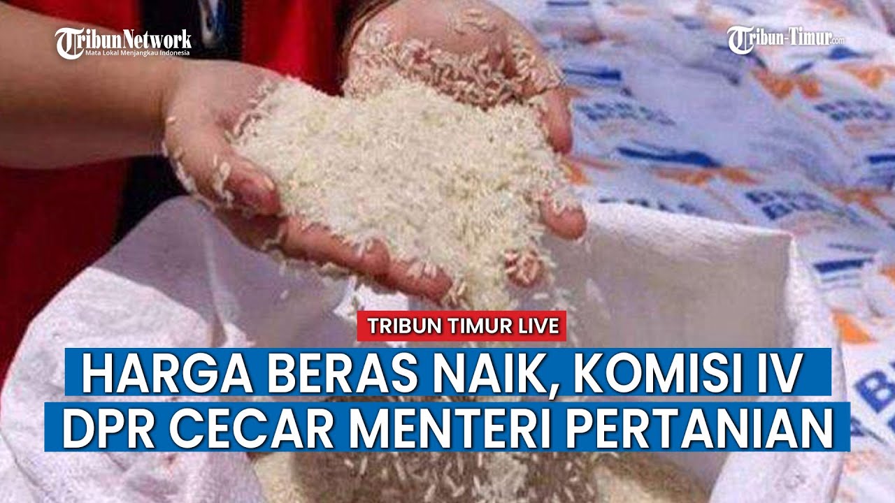 🔴Komisi IV DPR RI Cecar Menteri Pertanian Soal Kenaikan Harga Beras Saat Rapat Kerja