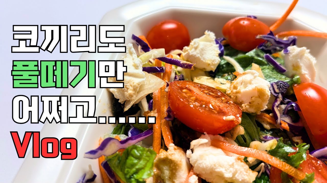 Vlog | 행복한 돼지가 되기로 함 