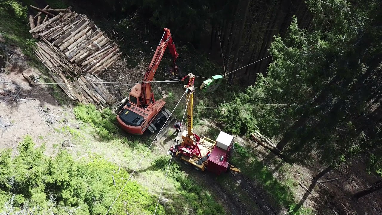 Holzschlägerung Steilhang Steiermark