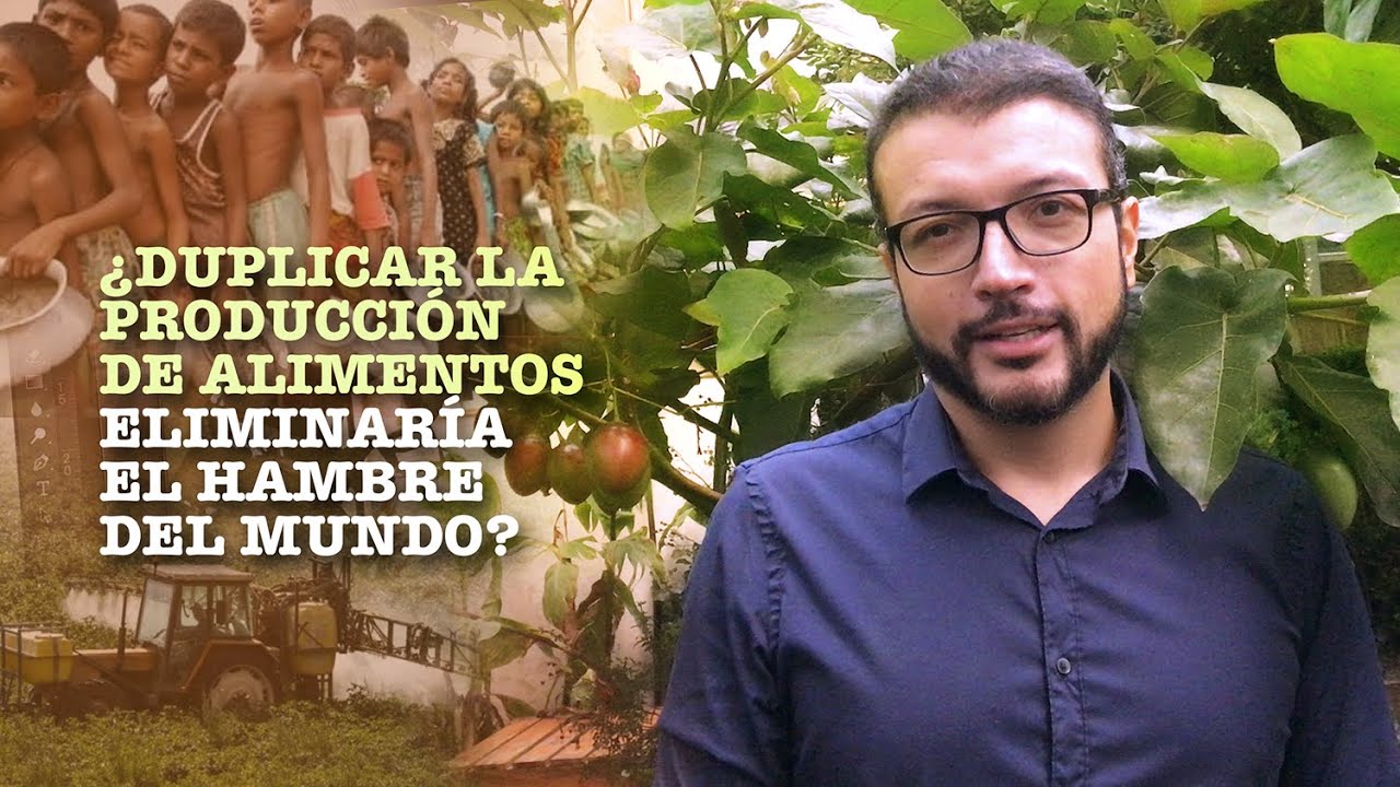 Duplicar la producción de alimentos NO eliminaría el hambre del mundo - POR CAMILO PRIETO.