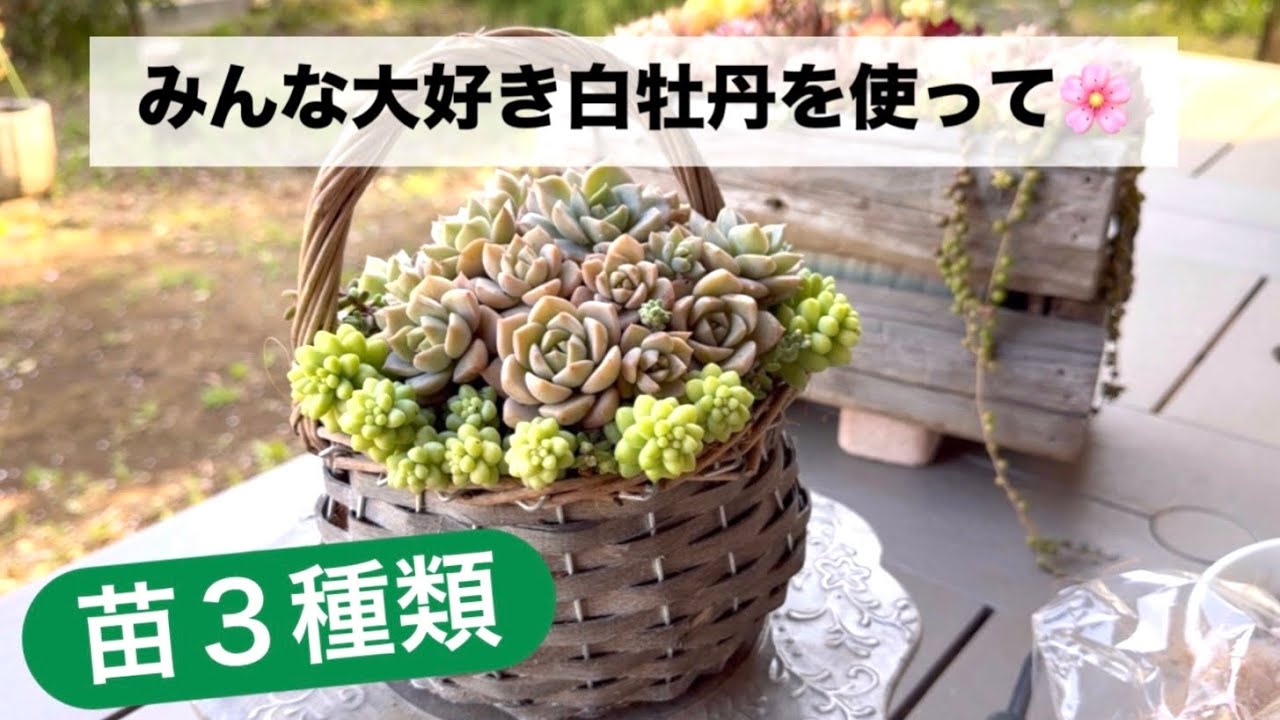 #48 【かご寄せ】全部こう作ってます🌸🌿