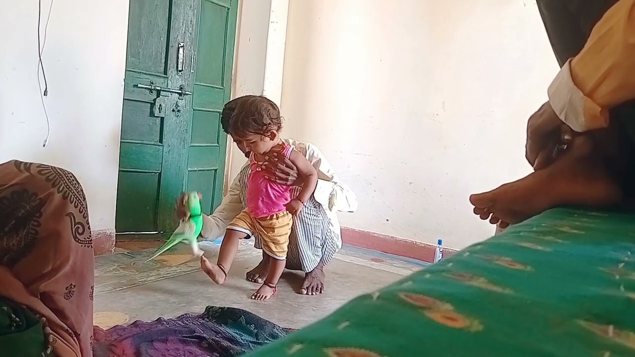 हे प्रभु हे जगन्नाथ ये सब क्या देखना पड़ रहा है 👀
