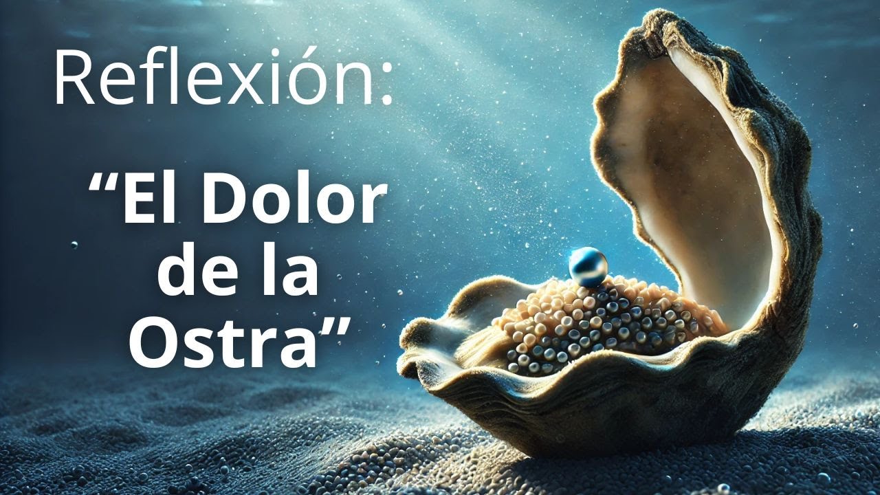 🌊 Reflexi&oacute;n de la Vida: 