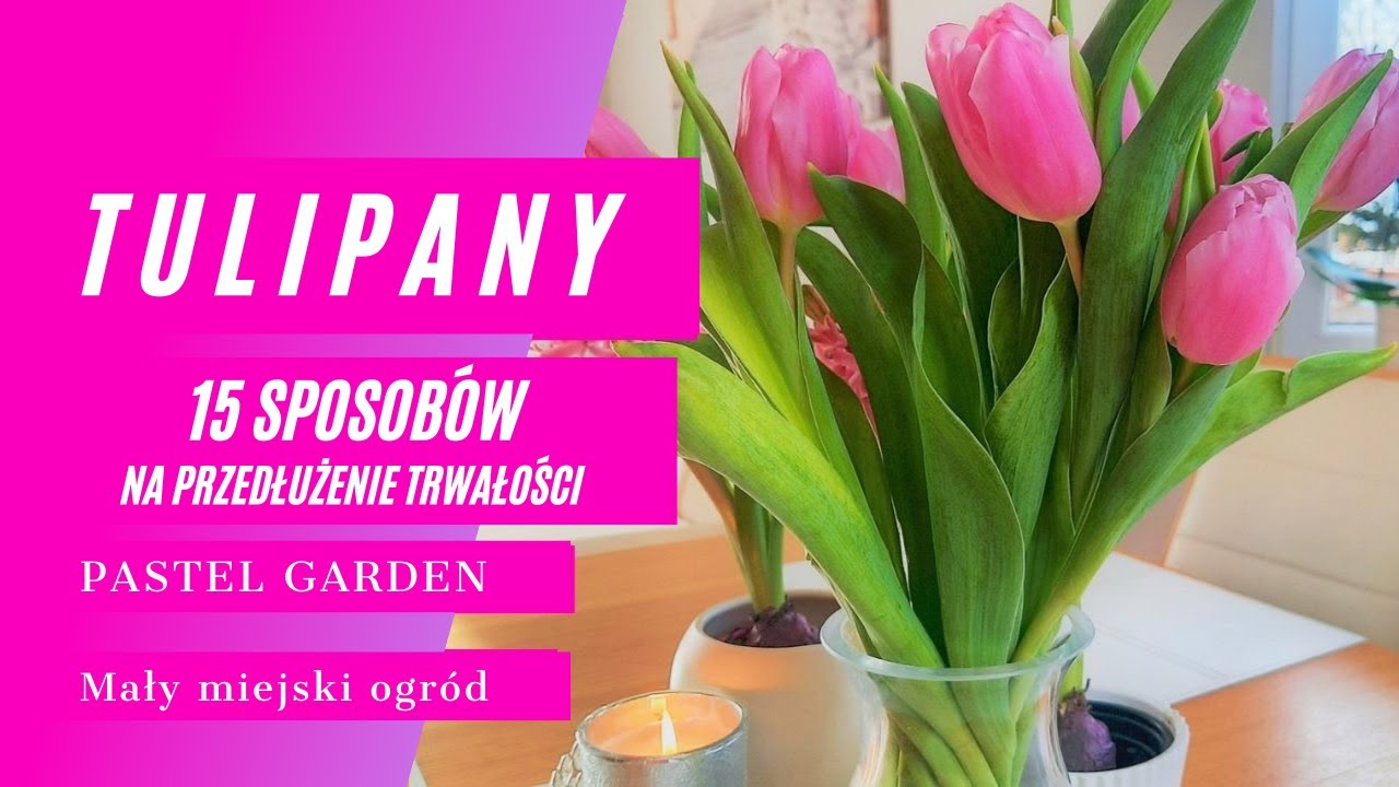 Kwiaty cięte , co zrobic by długo stały w wazonie  🌸 Bukiet kwiatów 🌸 Kwiaty w wazonie  Dzień kobiet