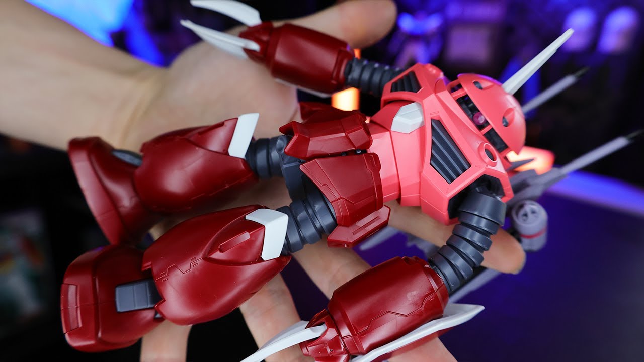 Building The SECRET Gundam  |  HG Z'GOK SEED FREEDOM VER.
