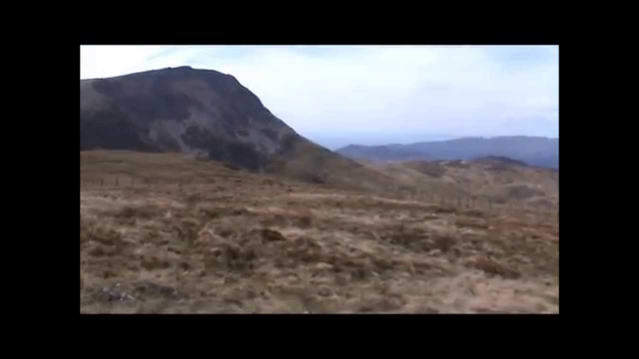 Gau Graig - Sims (Part 4) and Hewitts (Part 2)
