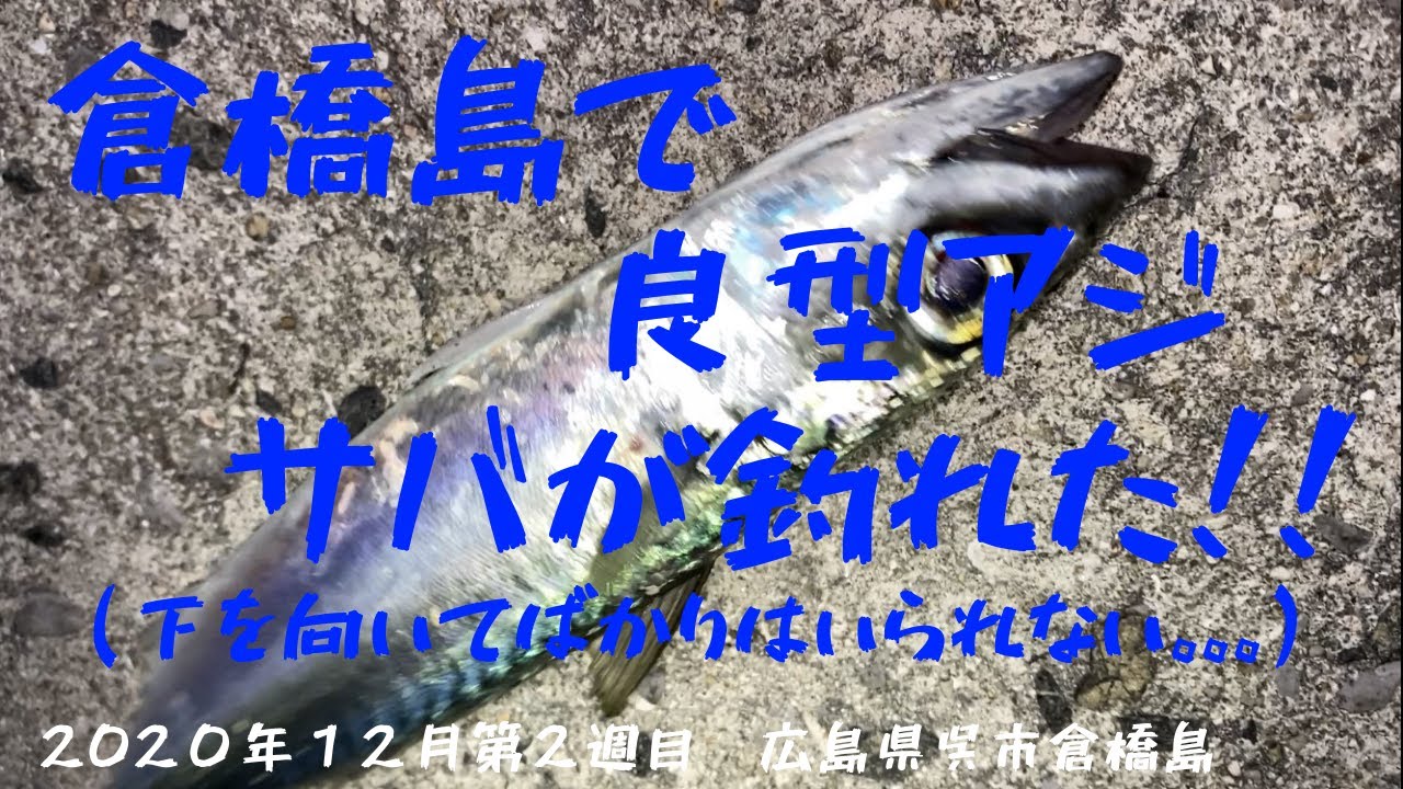 #10【アジ、サバ釣り】倉橋島で良型アジサバが釣れた！！下を向いてばかりはいられない。。。2020年12月第2週目　広島県呉市倉橋島