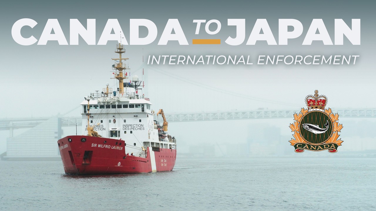 Из Канады в Японию: международная операция &laquo;North Pacific Guard&raquo; по обеспечению соблюдения закона