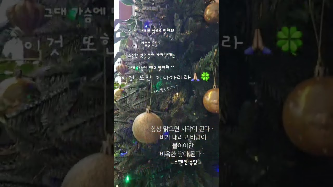 인생은 곱셈이다ㆍ어떤 기회가 와도 내가 0 이면 아무런 의미가 없다ㆍ ㅡ나카무라  미츠루 ㅡ    # 크리스마스 #트리 #