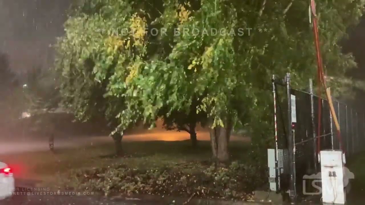 10-16-2022 Roanoke VA- Microdownburst- Smal Trees and Large Limbs Down