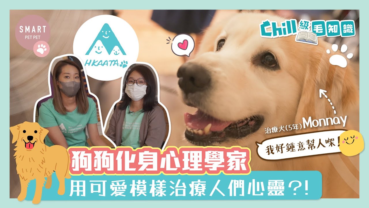 【狗狗化身心理學家 用可愛模樣治療人們心靈？！ 】