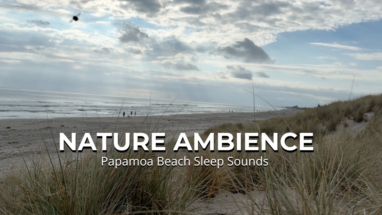30mins Sleep Sounds Papamoa beach