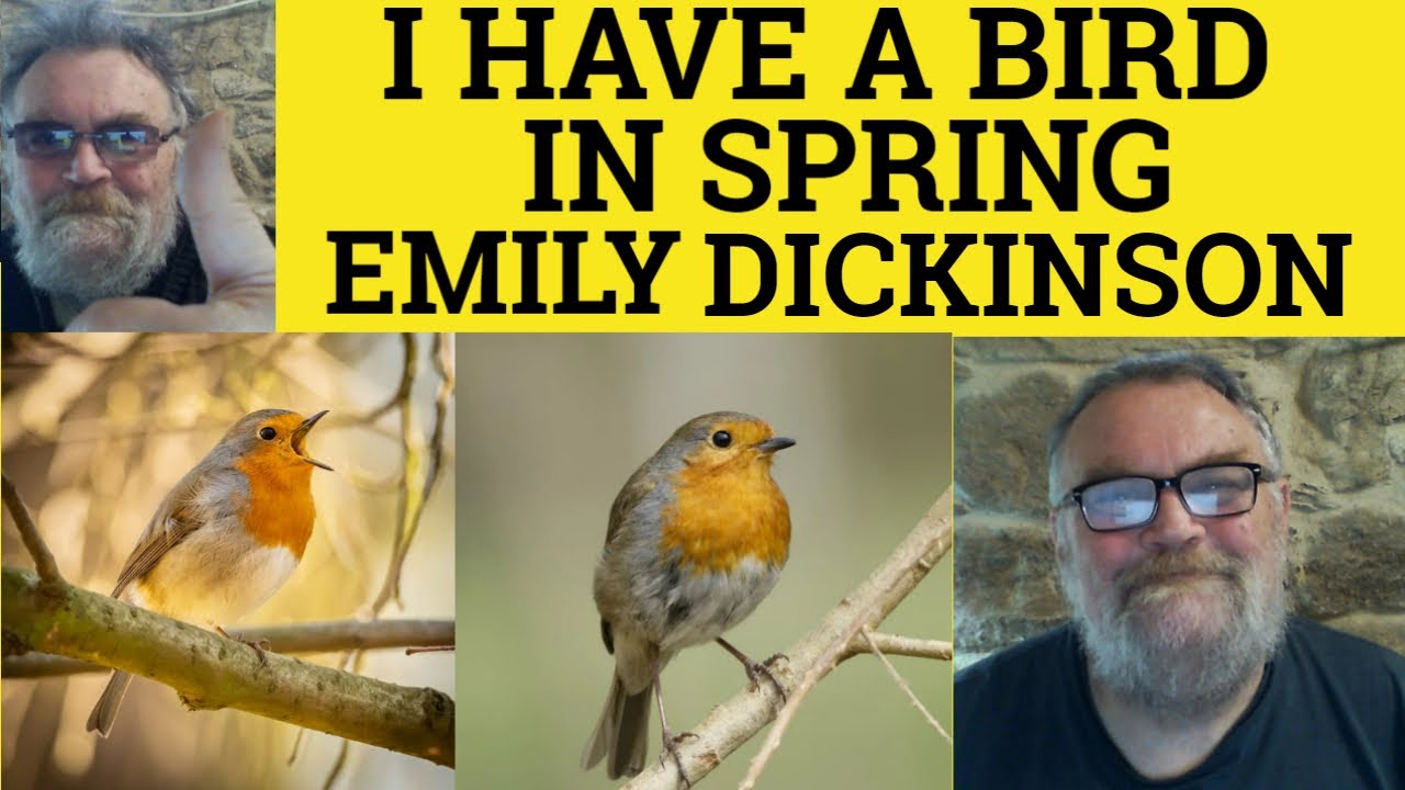 I have a Bird in Spring Poem Emily Dickinson Summary Analysis Reading I have a Bird Emily Dickinson