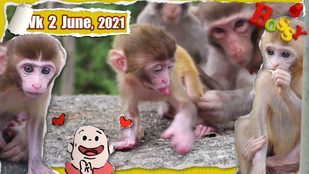 Морщинистые ангелочки 😇 – настоящее наслаждение для глаз!