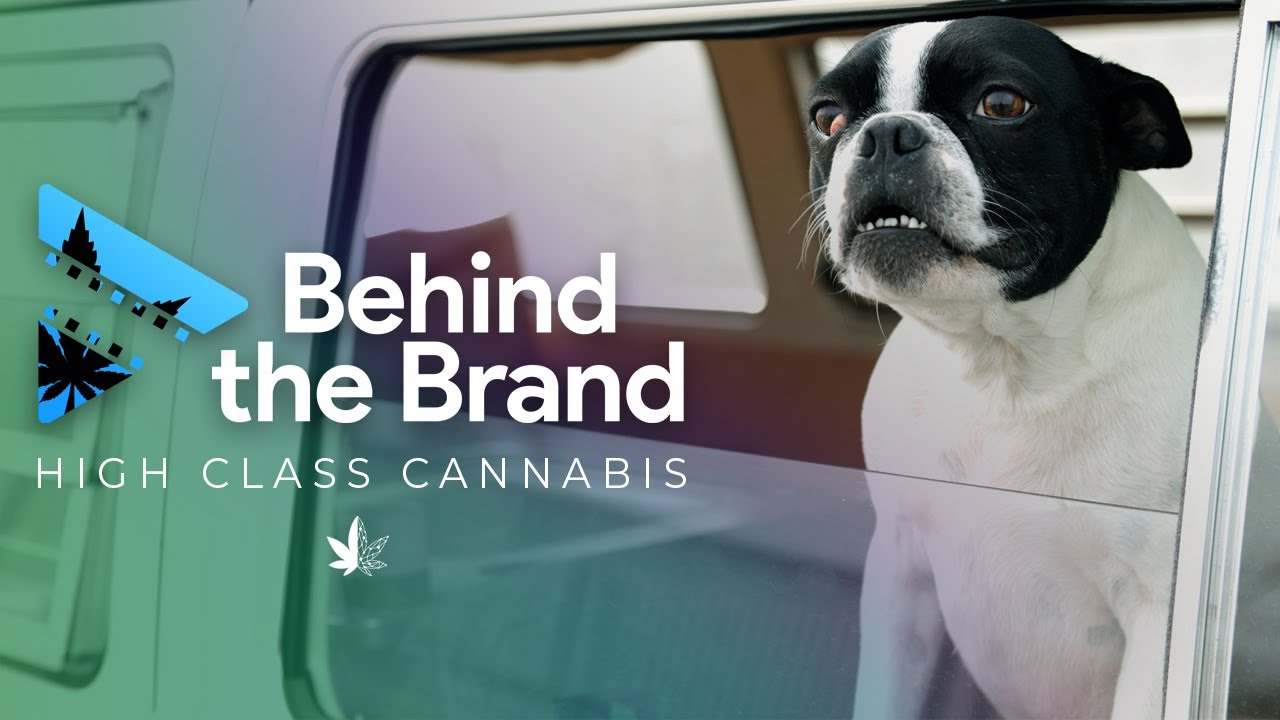 Behind the Brand: High Class Cannabis