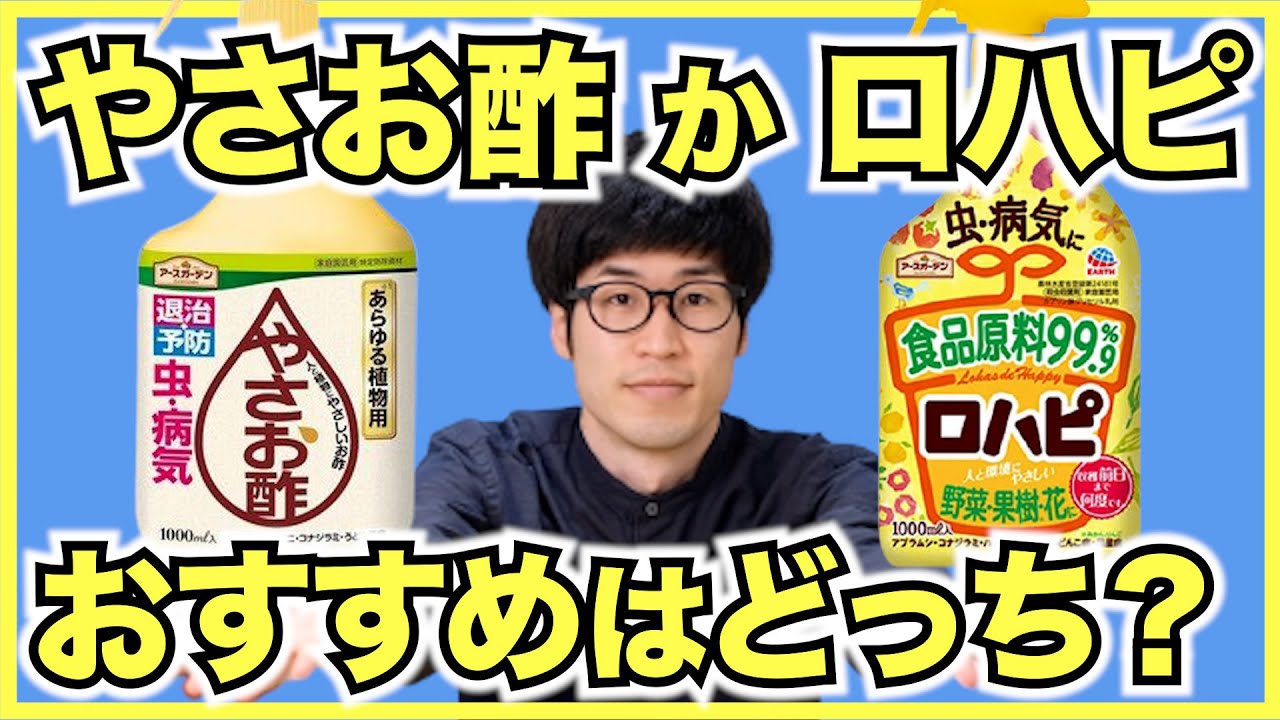 虫嫌いな家庭菜園初心者におすすめの農薬！やさお酢とロハピの使い方【イチゴにも使える】