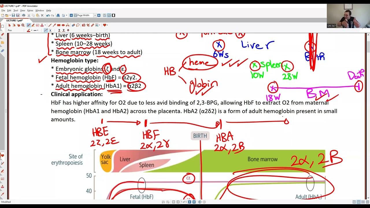 TA7 USMLE STEP 1 NEW GROUP: HEMATOLOGY TRIAL 1