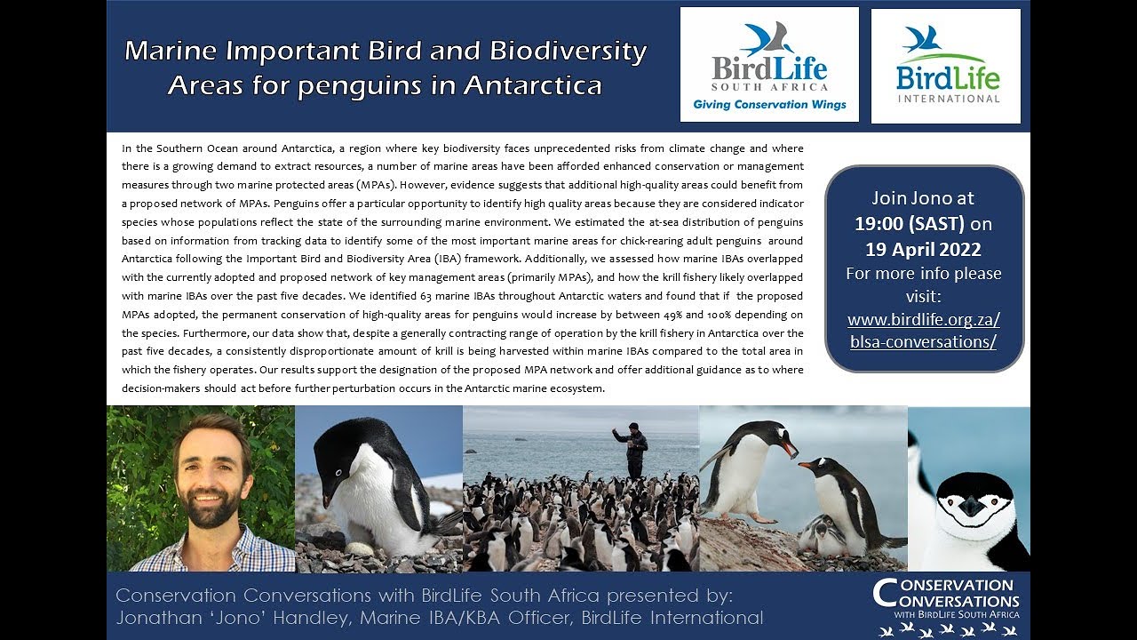 Conservation Conversations: Marine IBAs for penguins in Antarctica – Jono Handley (19Apr22)