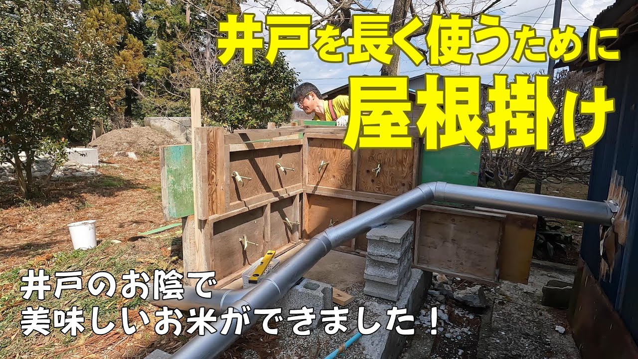 ［井戸・屋根掛け］井戸が問題なく稼働し、きれいな水が供給されました。そして、良質な堆肥、燦燦とそそぐ光、お陰さまで美味しいお米ができました！