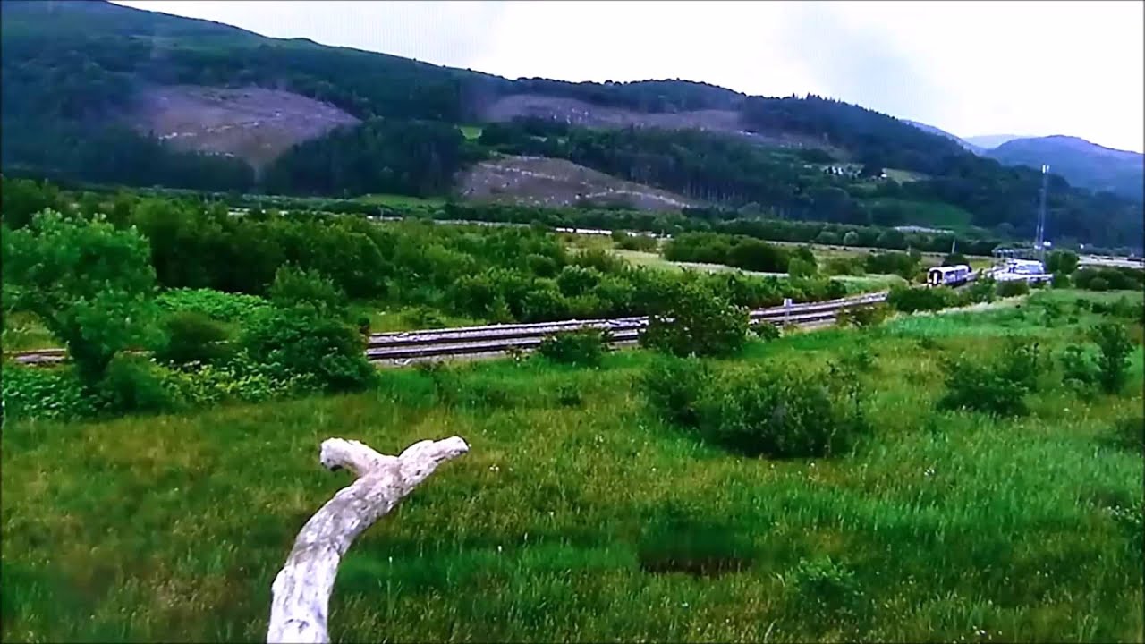 DYFI & GLASLYN OSPREY PROJECTS VIRTUAL TOUR