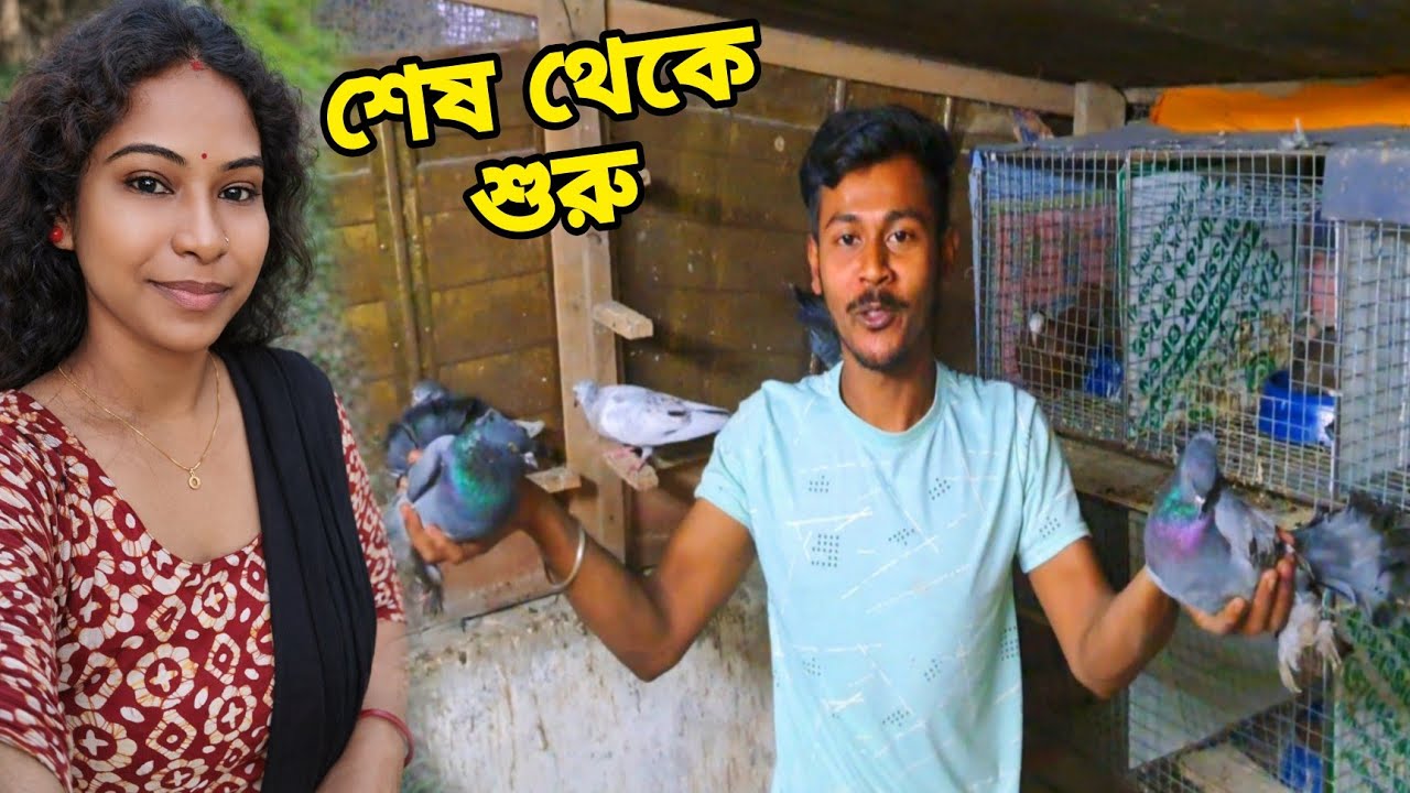 কলোনি আবার নতুন করে শুরু করলাম || My Birds Caloni Vlog- #newvlog #birdsvlog #petsvlog 