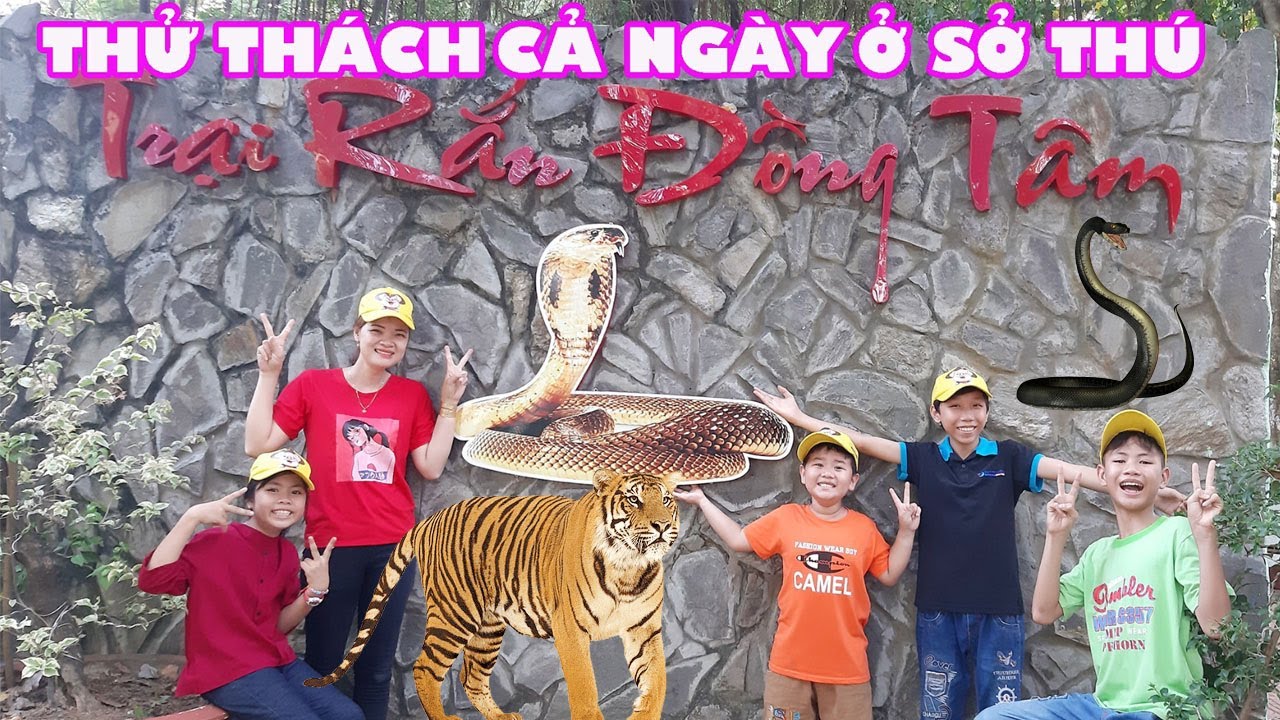 Thử Thách Cả Ngày Ở Sở Thú Xem Hổ Và Rắn Hổ Mang Dài 3 Mét #trangandvinhtv