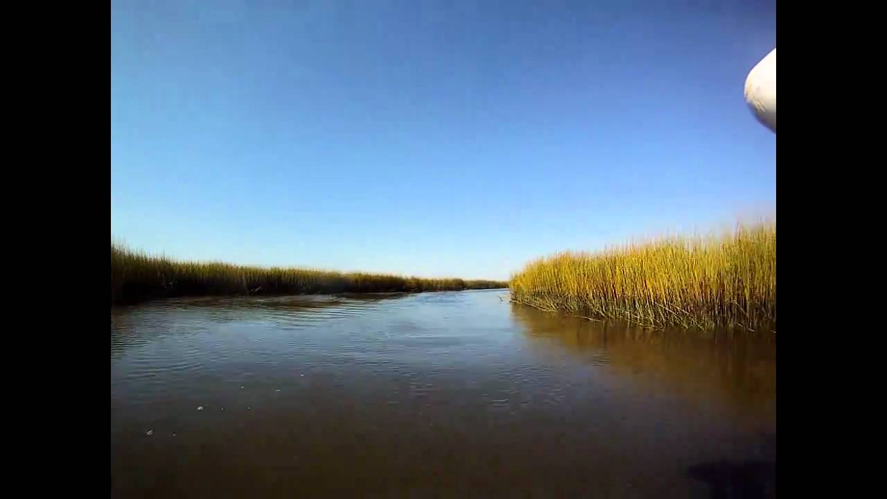 Beavertail B2 in tight creeks with Reel Adventure Charters