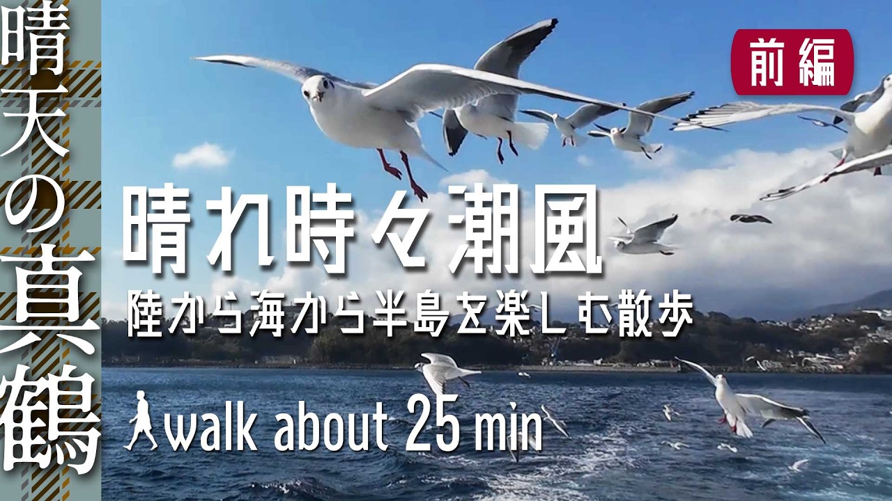 ［真鶴｜前編］遊覧船も楽しめる漁師町 | Walking around the small peninsula