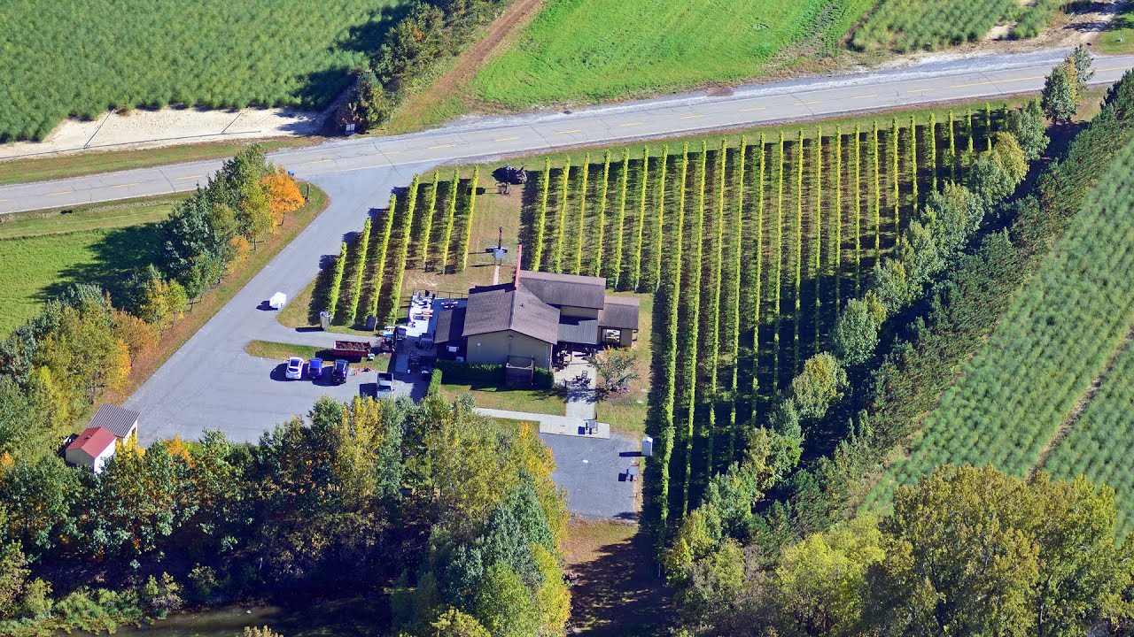 VIGNOBLE ST THOMAS