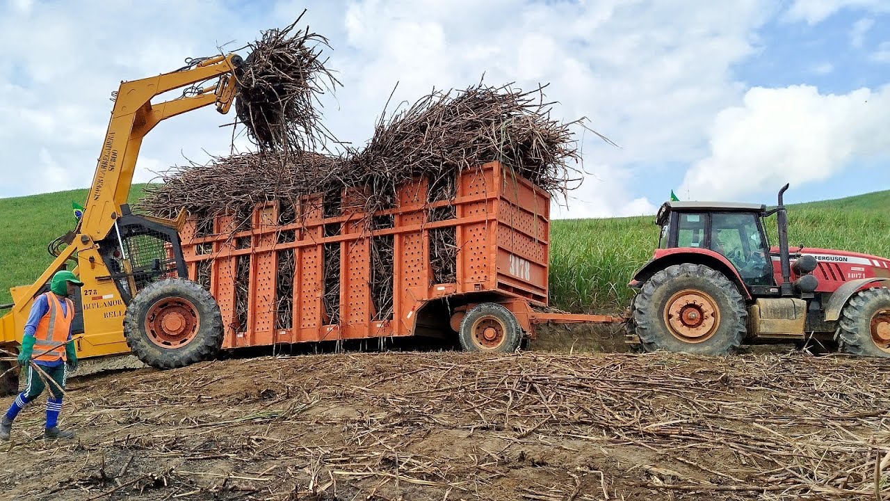 Carregamento De Cana De Açúcar Engenho Mangueira Usina JB