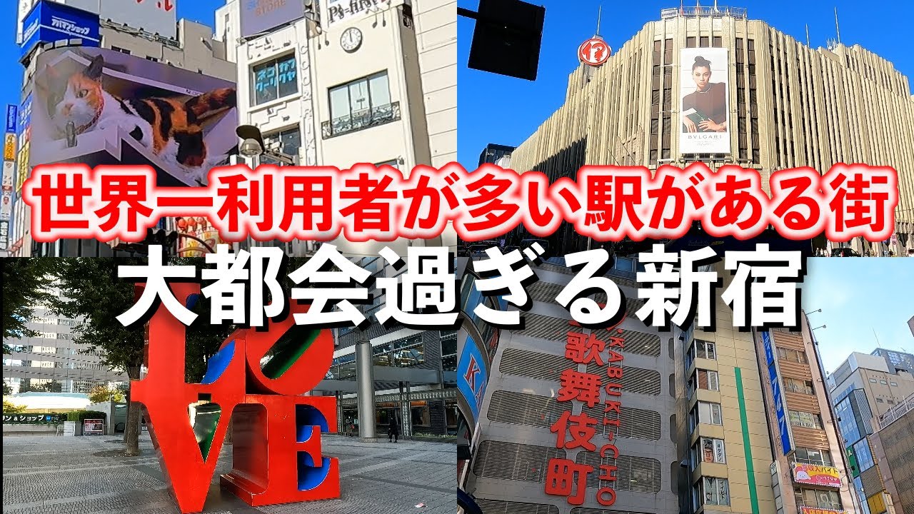 新宿「これぞ大都会！ 新宿駅周辺の見所を詰め込みましたぞ」【2023年11月】