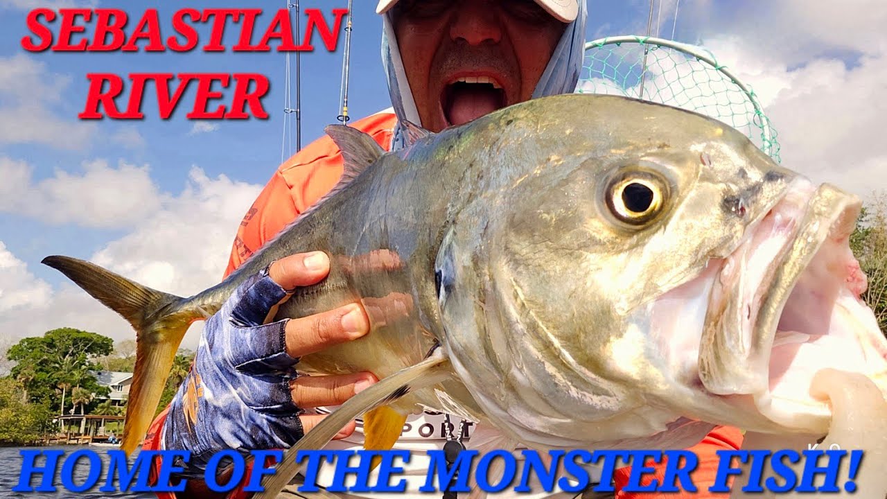 Sebastian Inlet And Sebastian River! Home Of The Monster Bull Redfish, Huge Snook, BIG Jacks!