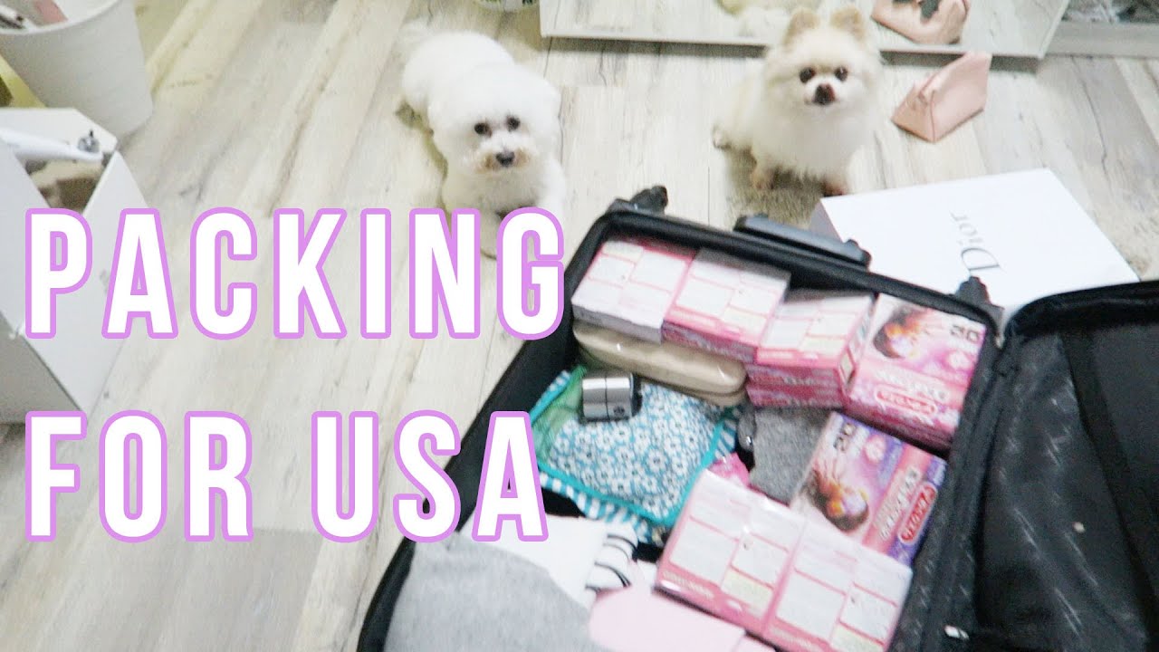 出發前的準備 ✈️ | Bethni Vlogs