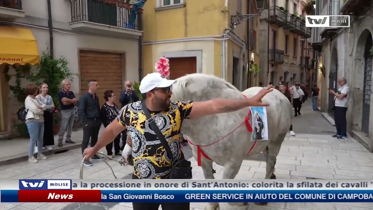 Sant'Antonio a Isernia, tra fedeli e cavalli "devoti"